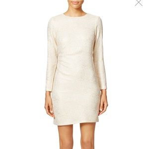 Shoshanna English Breakfast Dress (8)